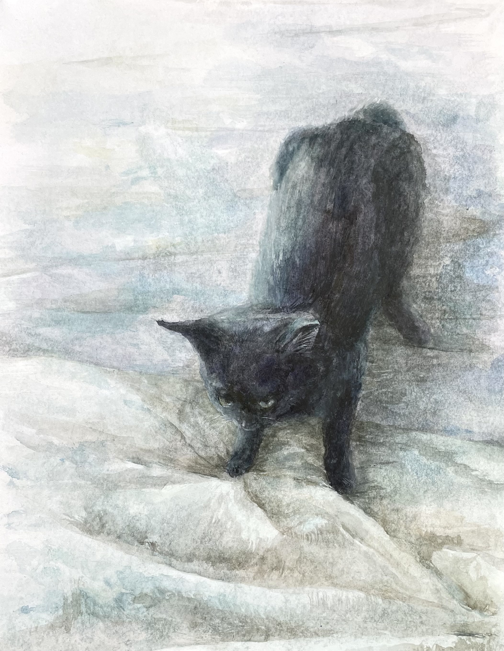 小ねこ