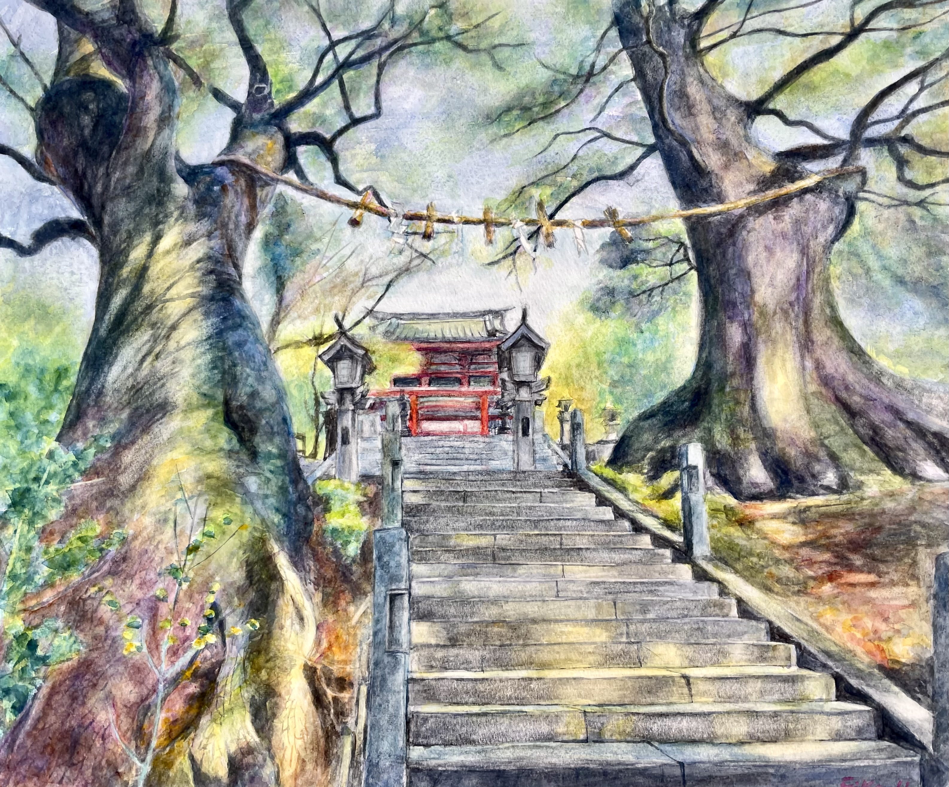 夫婦　楠
